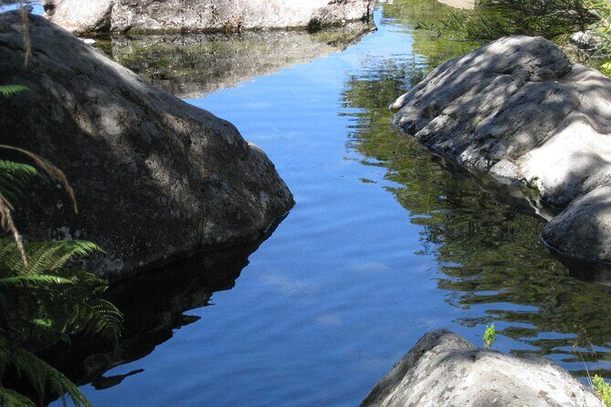 Lakes of Madeira- Alecrim Full day walk - Practicalities and What’s Included