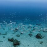 Lanzarote: Beginner Scuba Diving from the Beach - A Detailed Look at the Lanzarote Beach Scuba Tour