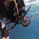 Lanzarote: Beginner Try Scuba Diving Costa Teguise (2 dives) - The Sum Up