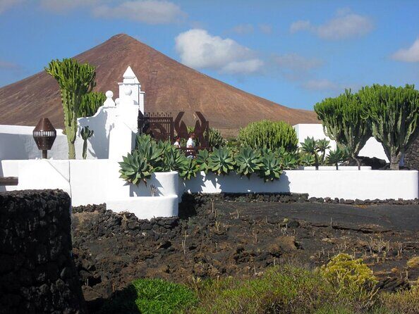 Lanzarote Cesar Manrique Excursion with Jameos del Agua Entrance - Authentic Experiences and Insights from Past Travelers