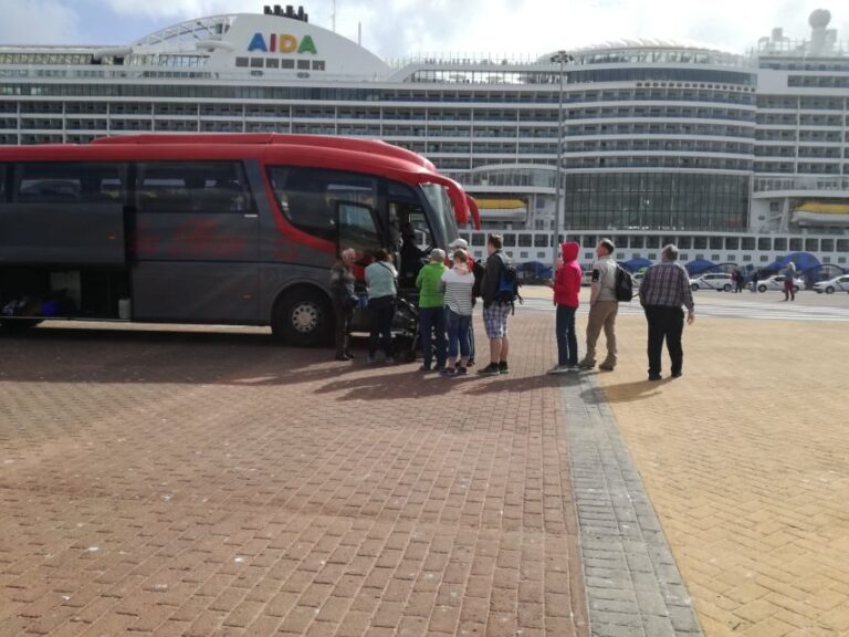 Lanzarote: César Manrique & Teguise Market from Cruise Port - Who Is This Tour Best For?