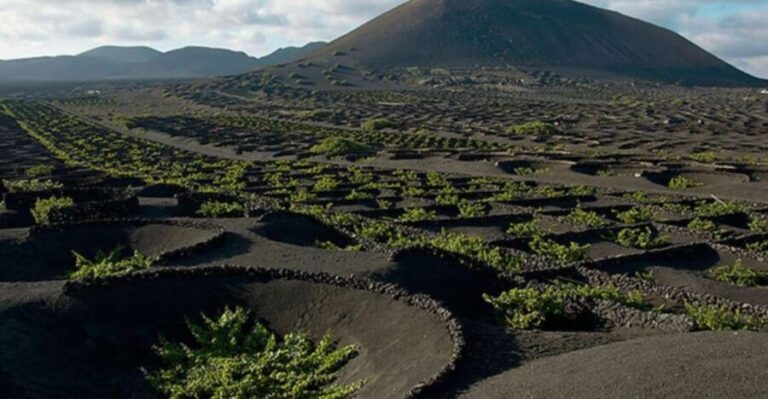 Lanzarote: Full Day Bus Tour with Scenic Views - Who Should Take This Tour?