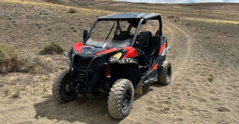 Lanzarote: Guided Can-Am Trail Buggy Tour - Practical Details and Value Assessment