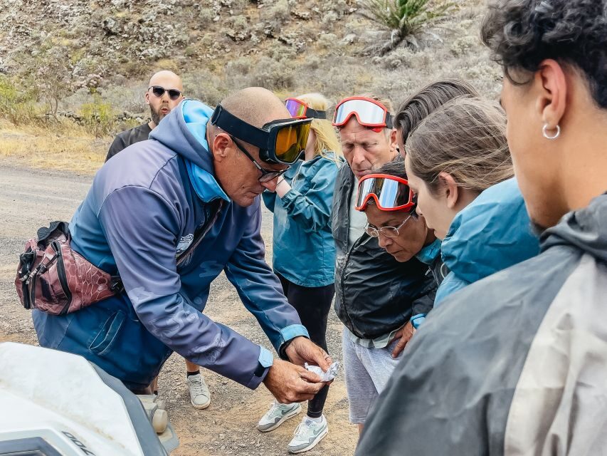 Lanzarote: Guided Off-Road Volcano Buggy Tour - A Deep Dive into Lanzarote’s Volcano Buggy Tour