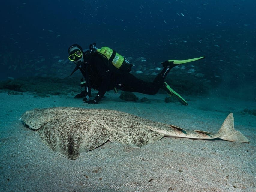 Lanzarote: SSI Open Water Diver Course - An In-Depth Look at the Lanzarote SSI Open Water Diver Course