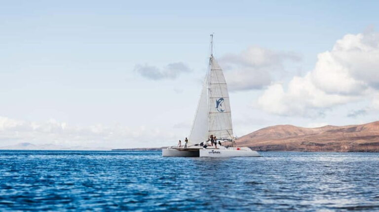 Lanzarote Sunset Experience with dolphin spotting - An In-Depth Look at the Lanzarote Sunset Dolphin Spotting Tour