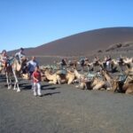 Lanzarote: Timanfaya National Park Tour - Final Thoughts