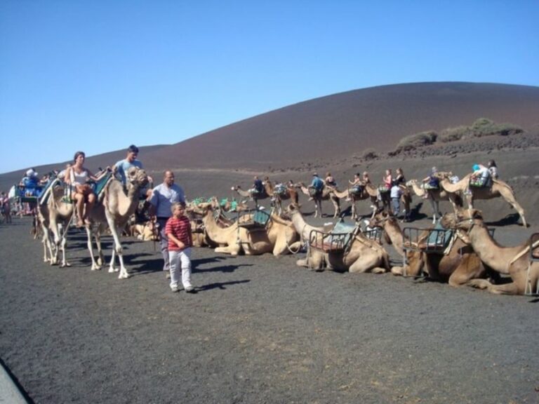 Lanzarote: Timanfaya National Park Tour - Final Thoughts