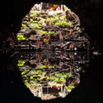 Lanzarote: Timanfaya Park, Jameos Agua, & Cueva Verdes Tour - Who Will Love This Tour?