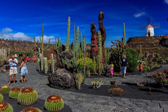 Lanzarote Tour: Lagomar Museum, Guatiza Cactus Garden & La Graciosa Island - Final Thoughts