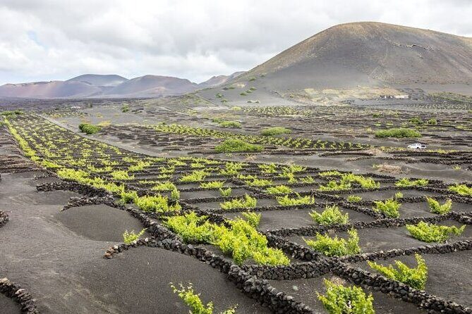 Lanzarote Volcanoes Tour departing from Fuerteventura - Final Thoughts: Is This Tour Worth It?