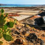 Lanzarote: Volcanos of Timanfaya and Caves Tour with Lunch - An In-Depth Look at the Lanzarote Volcano and Cave Tour