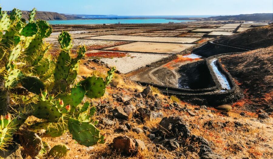 Lanzarote: Volcanos of Timanfaya and Caves Tour with Lunch - An In-Depth Look at the Lanzarote Volcano and Cave Tour