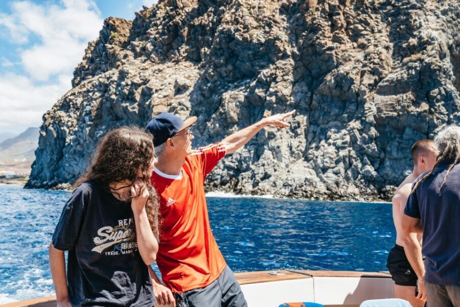 Las Galletas: Whale & Dolphin Tour with Local Skipper - Who Will Love This Tour?