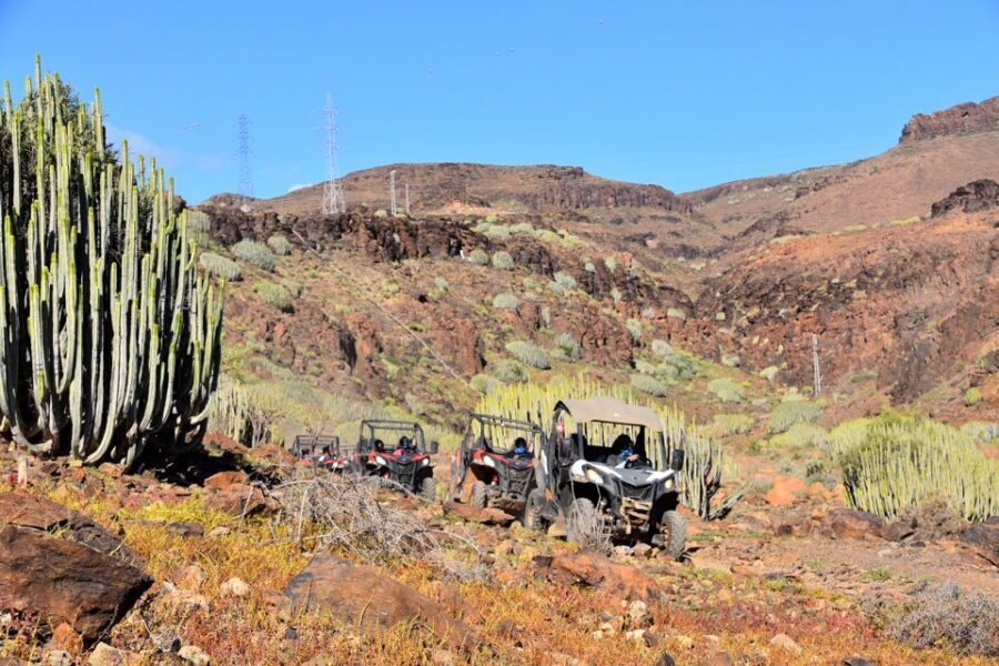 Las Palmas: Gran Canaria Guided Buggy Tour - Authentic Experiences and Practical Tips