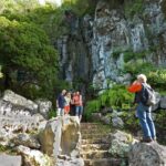 Las Palmas: Privat Botanic Garden Tour & opt. hike Extension - Final Thoughts