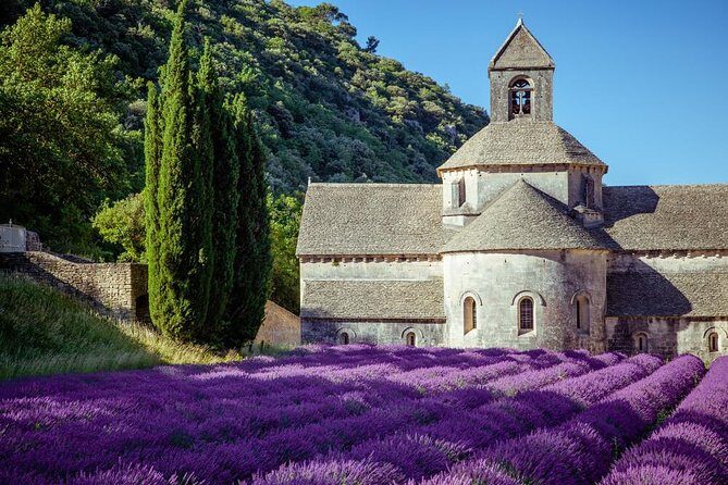 Lavender Beauty Small Group Half Day Tour from Avignon - Exploring Provence’s Lavender Fields: A Guided Half-Day from Avignon