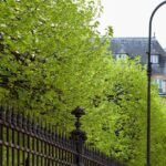 Le Marais Private Walking Tour - Final Thoughts: Who Will Love This Tour?
