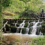 Leiria E-bike and Castel tour - What Makes This Tour Stand Out
