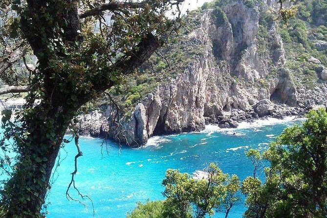 Leisurely Tour of Corfu - An In-Depth Look at the Tour Experience