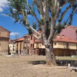 León: Guided tour by a local art historian - FAQs