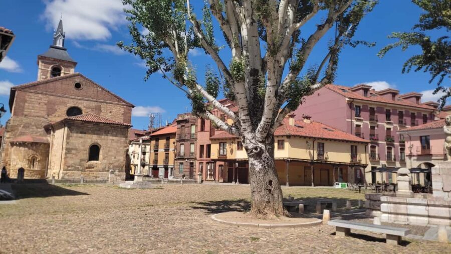 León: Guided tour by a local art historian - FAQs