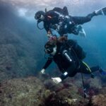 L'Estartit: Dive and Snorkeling in Montgrí Natural Park - A Detailed Look at the Itinerary