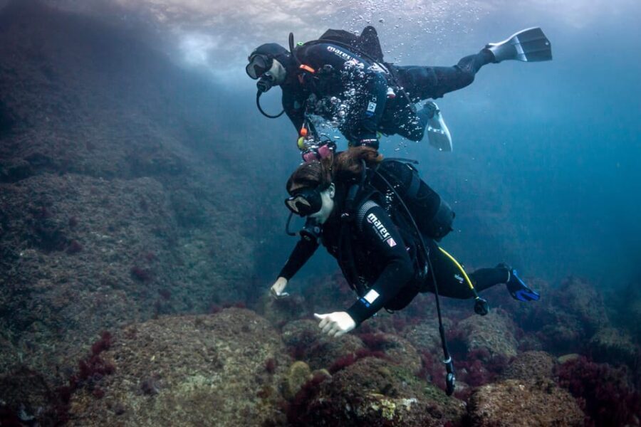 L'Estartit: Dive and Snorkeling in Montgrí Natural Park - A Detailed Look at the Itinerary