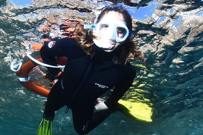 L'Estartit: Snorkeling in the Medes Islands - Final Thoughts: Who Will Love This Tour?