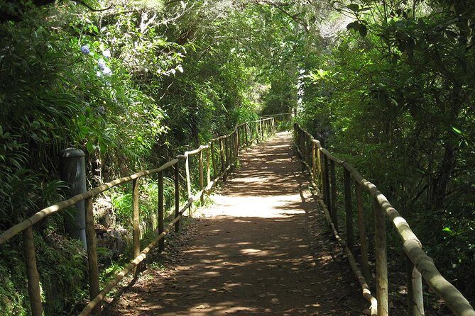Levada do Caldeirão Verde Levada Walk from Funchal - Who Will Love This Tour?
