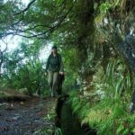 Levada Walk and Caldeirao Verde Waterfalls: Madeira - What Sets This Tour Apart?