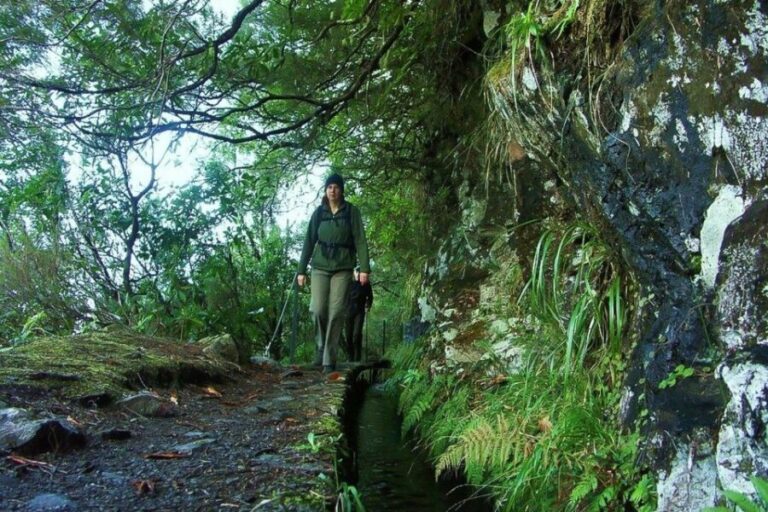 Levada Walk and Caldeirao Verde Waterfalls: Madeira - What Sets This Tour Apart?