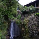 Levada Walk from Ribeiro Frio to Portela - Why This Tour Is a Great Choice