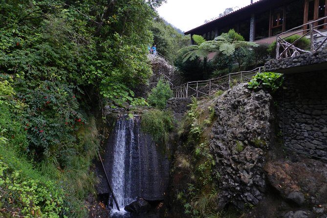 Levada Walk from Ribeiro Frio to Portela - Why This Tour Is a Great Choice