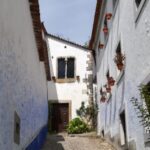 Lisbon: One Way to Douro Valley through Coimbra and Obidos - What’s Included and What’s Not