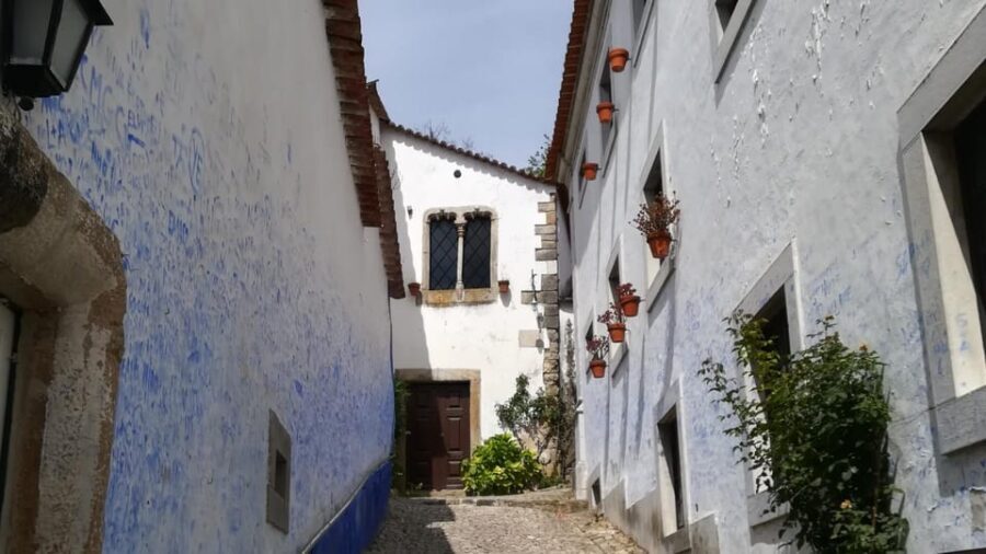 Lisbon: One Way to Douro Valley through Coimbra and Obidos - What’s Included and What’s Not