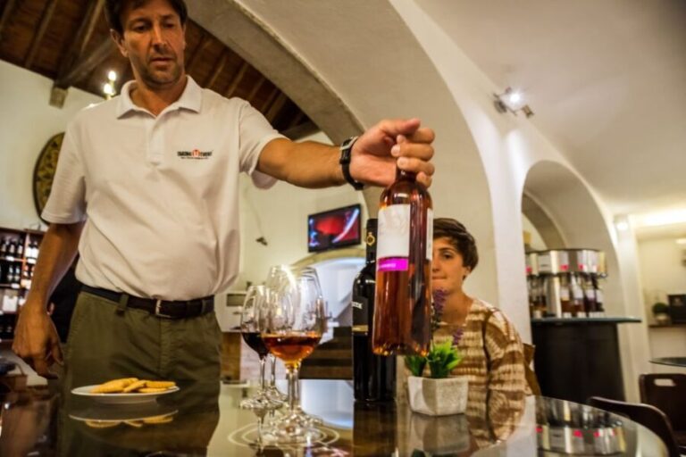 Lisbon Private Setúbal Region Wine Tasting Tour - An In-Depth Look at the Lisbon Private Setúbal Wine Tour