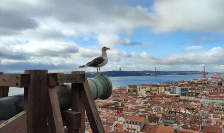 Lisbon: São Jorge Castle Skip-the-Line Ticket & Guided Tour - A Closer Look at the São Jorge Castle Experience