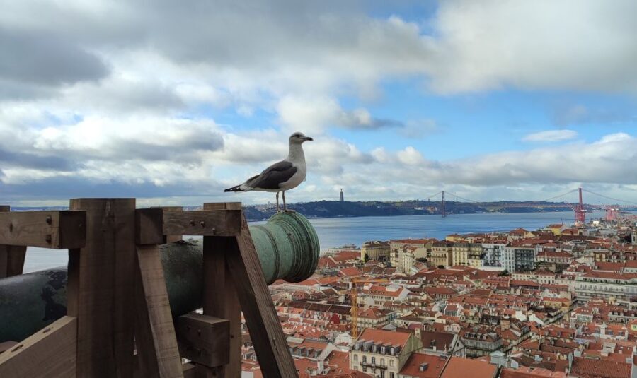 Lisbon: São Jorge Castle Skip-the-Line Ticket & Guided Tour - A Closer Look at the São Jorge Castle Experience