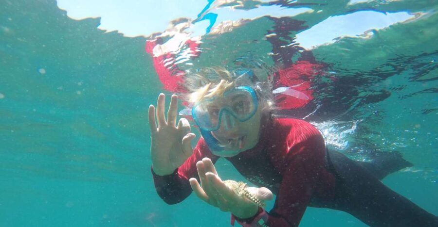 Lisbon: Snorkelling in Sesimbra/Arrábida Natural Park - A Detailed Look at the Itinerary