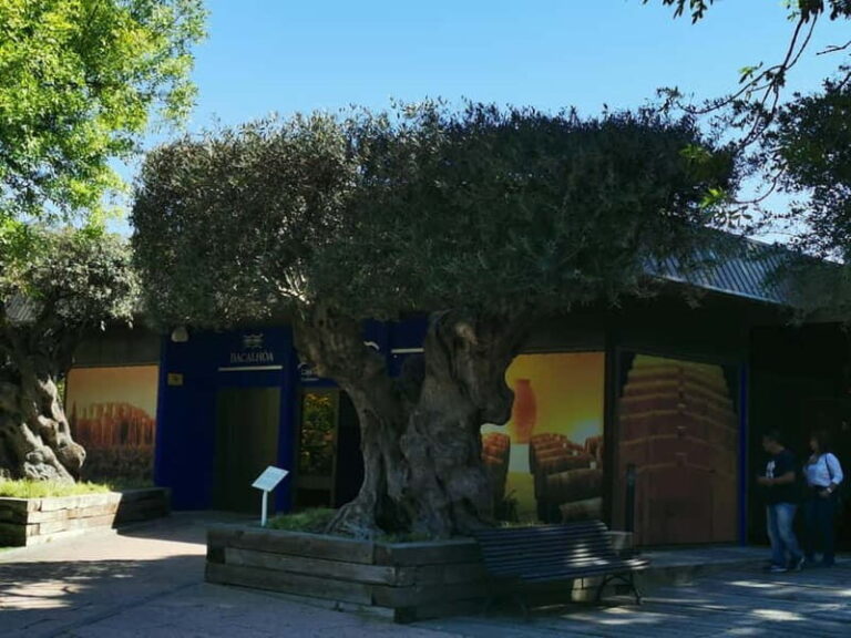Lisbon to Wine Tasting Setubal, Two Cellars, Half Day Tour - In-Depth Look at the Itinerary
