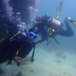 Lisbon: Try Dive in Arrábida Marine Reserve Setubal Sesimbra - Why This Tour Matters for Travelers