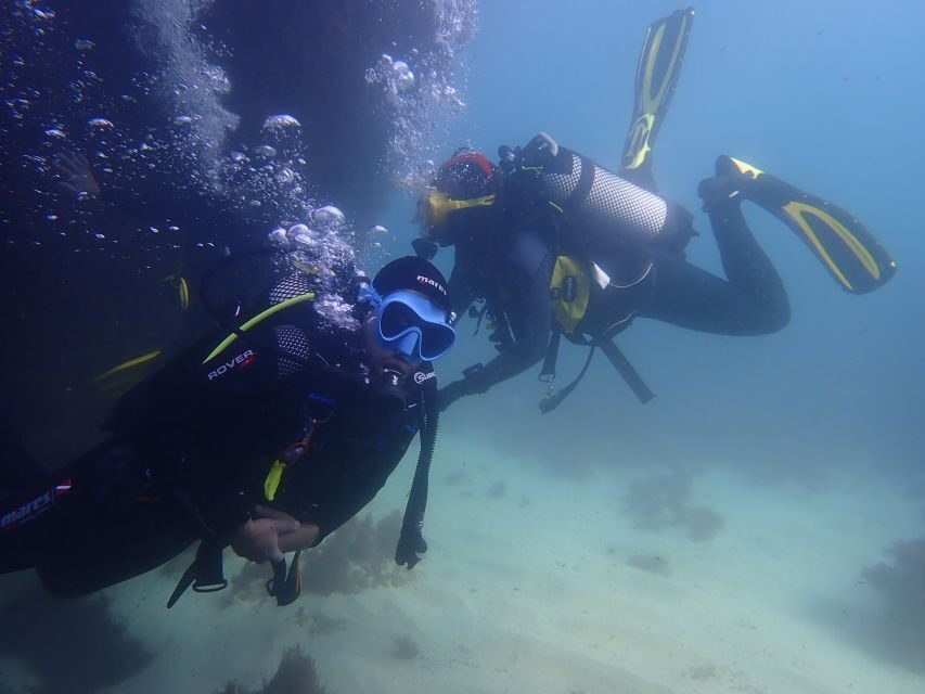 Lisbon: Try Dive in Arrábida Marine Reserve Setubal Sesimbra - Why This Tour Matters for Travelers