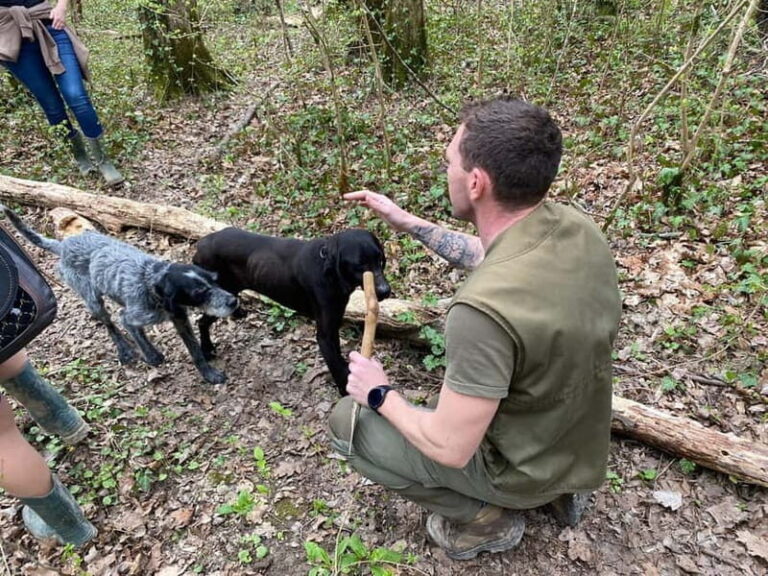 Livade: Guided Truffle Hunting Walking Tour - What’s Included and What You Should Know