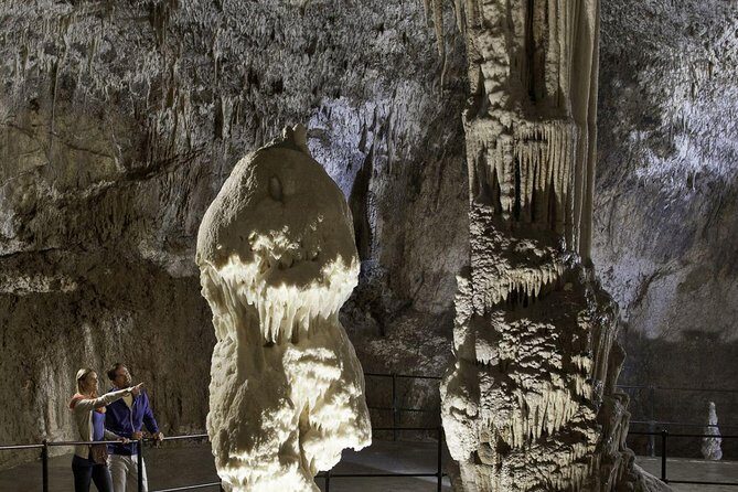 Ljubljana: Postojna cave & Predjama castle small group tour - Authentic Feedback from Travelers