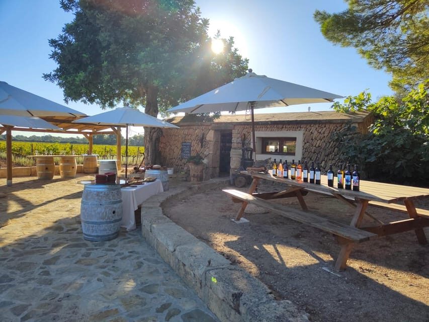Llucmajor: Bodegas Bordoy Wine Tour - Final Thoughts: Is It Worth It?
