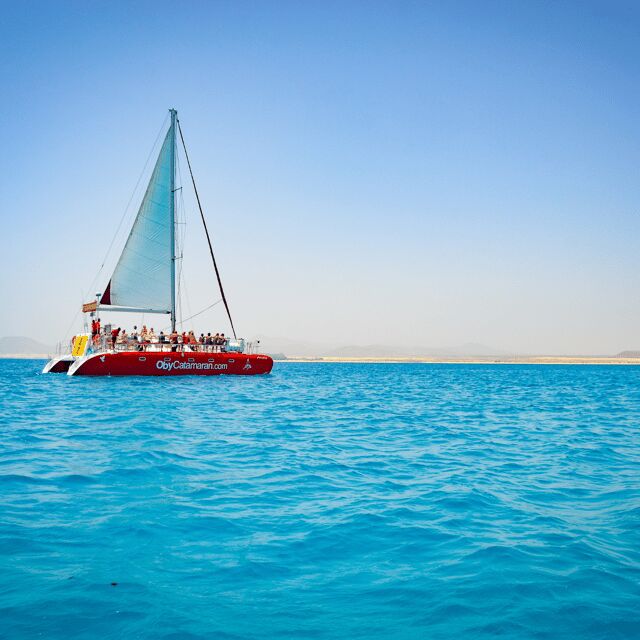 Lobos Island: 4-Hour Catamaran Trip with Lunch - A Detailed Look at the Catamaran Trip to Lobos Island