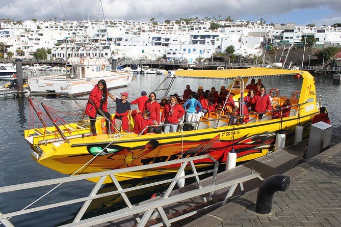 Lobos Island - The dolphin route - Value and Practical Insights