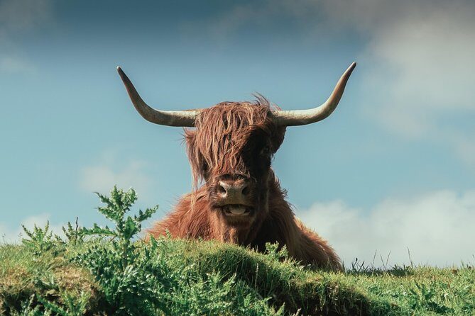 Loch Ness, Glen Coe & The Highlands Day Tour from Edinburgh - FAQs