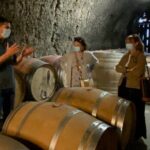 Loire Castles Chenonceau, Chambord & 2 Wineries Private Trip - FAQs